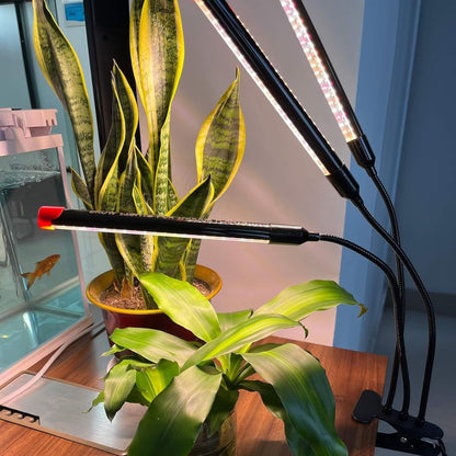 Plant Grow light - Clip & Grow