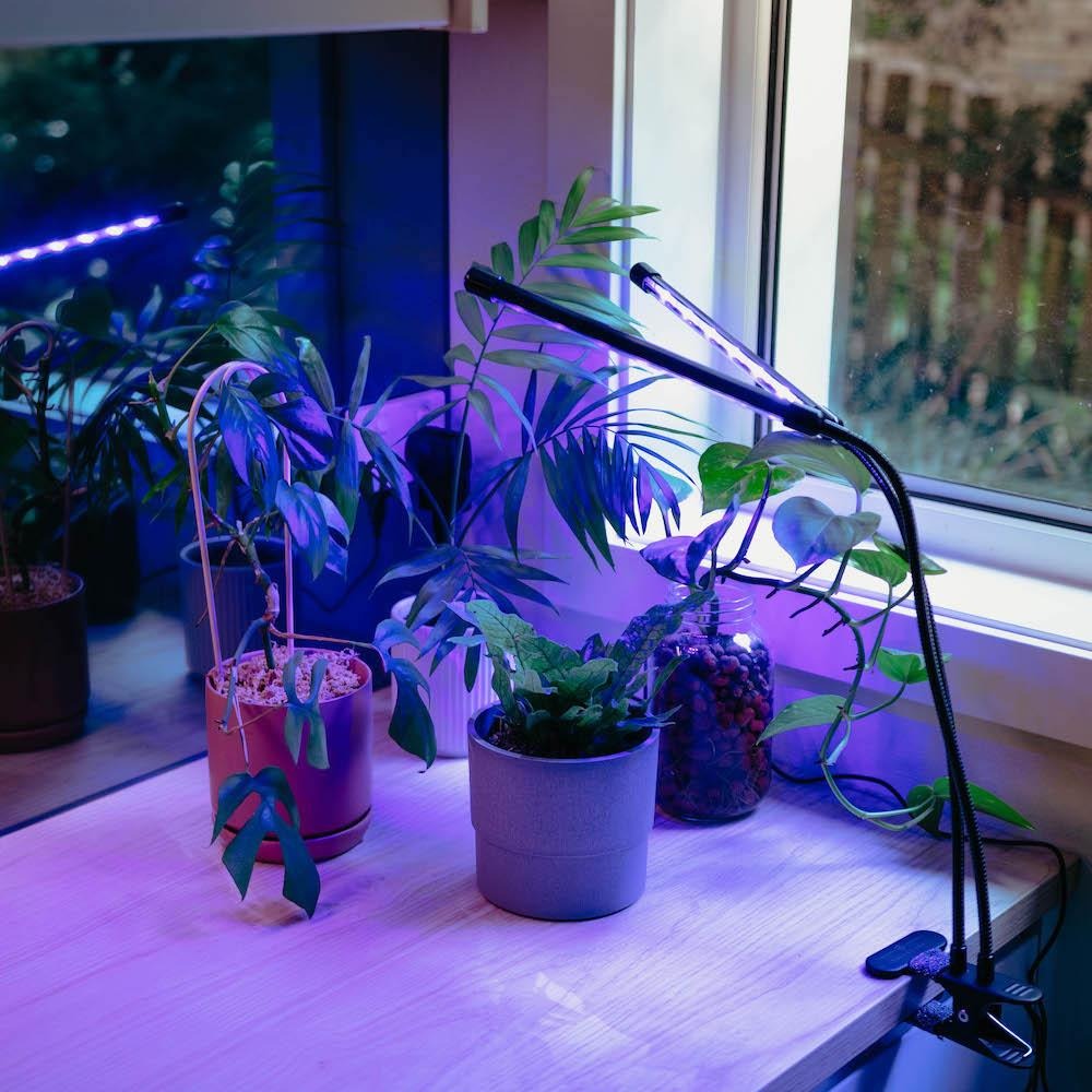 Plant Grow light - Clip & Grow