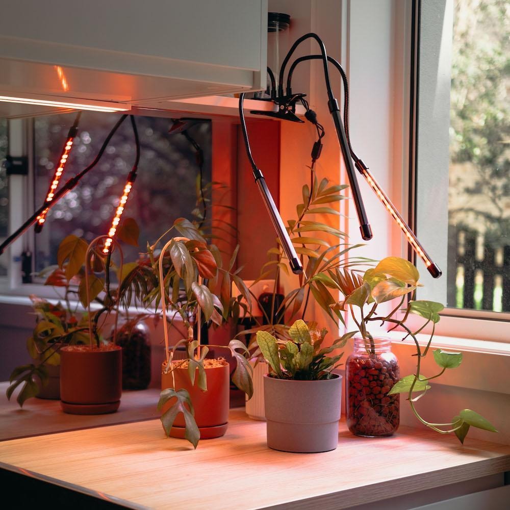 Plant Grow light - Clip & Grow